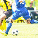 サッカー留学 ひどい