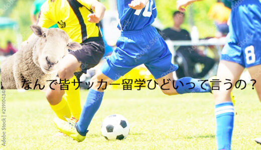 サッカー留学ひどい　ポイント