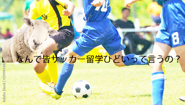 サッカー留学 ひどい